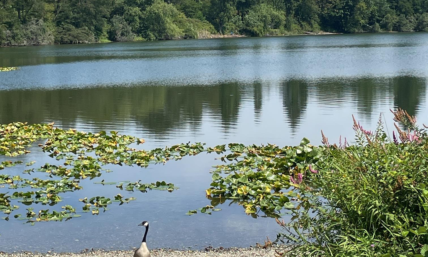 lake